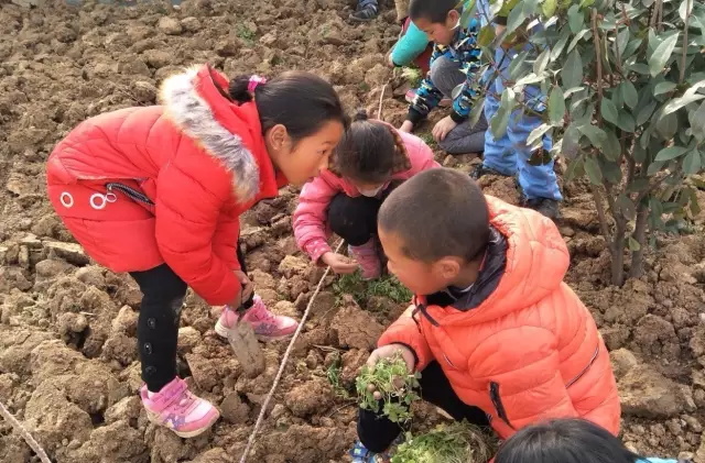 13-36-070150-851572468.jpg 13-36-070150-851572468.jpg